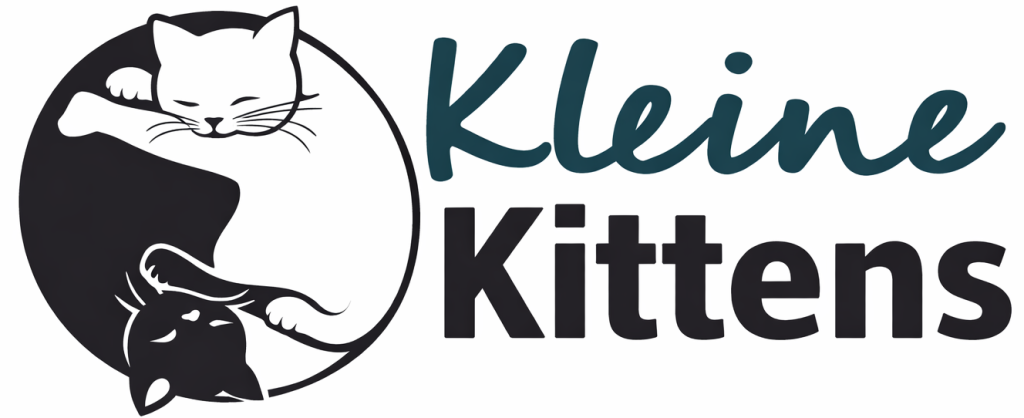 Kleine Kittens